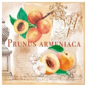 Χαρτοπετσέτα για Decoupage, 1 τεμ. 74409