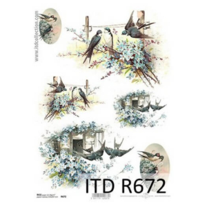 Ριζόχαρτο ITD, 21x29cm R672