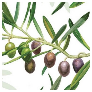 Χαρτοπετσέτα για Decoupage, 1 τεμ. 13305595