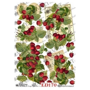 Χαρτί Decoupage Asket 30x40cm, ED170