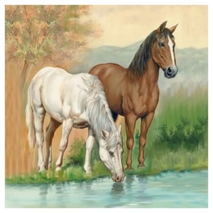 Χαρτοπετσέτα για Decoupage, 1 τεμ. 13309345