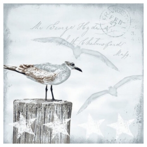 Χαρτοπετσέτα για Decoupage, 1 τεμ. 13309115