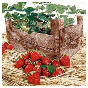 Χαρτοπετσέτα για Decoupage, 1 τεμ. 211628