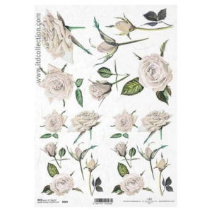 Ριζόχαρτο ITD, 21x29cm R889