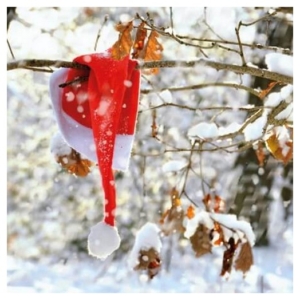 Χαρτοπετσέτα για Decoupage, Χριστουγεννιάτικη, 1τεμ. 33305220