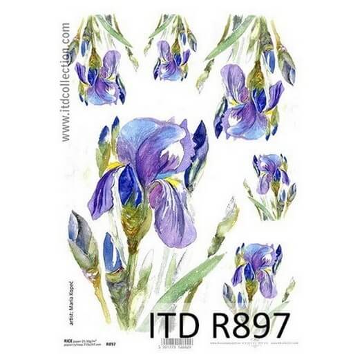 Ριζόχαρτο ITD, 21x29cm R897 1 Ριζόχαρτο ITD, 21x29cm R897