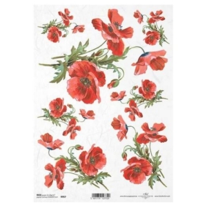 Ριζόχαρτο ITD, 21x29cm R957