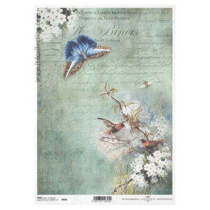 Ριζόχαρτο ITD, 21x29cm R976