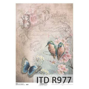 Ριζόχαρτο ITD, 21x29cm R977