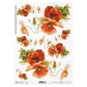 Ριζόχαρτο ITD, 21x29cm R958