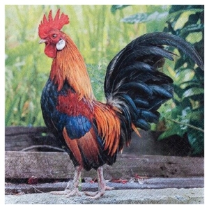 Χαρτοπετσέτα για decoupage, 1 τεμ. 211710