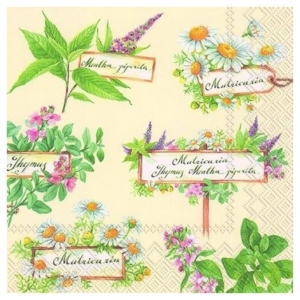 Χαρτοπετσέτα για Decoupage, 1 τεμ. L599960