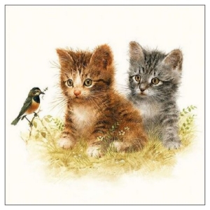 Χαρτοπετσέτα για Decoupage, 1 τεμ. 13310170