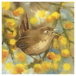 Χαρτοπετσέτα για decoupage, 1 τεμ. L749100