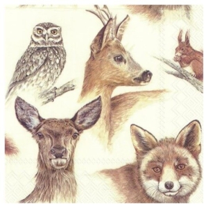 Χαρτοπετσέτα για decoupage, 1 τεμ. L745360