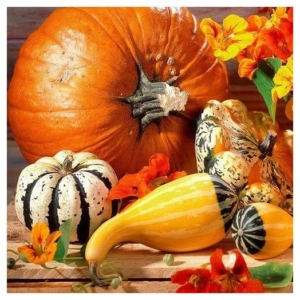 Χαρτοπετσέτα για Decoupage Pumpkins , 1τεμ. 75043