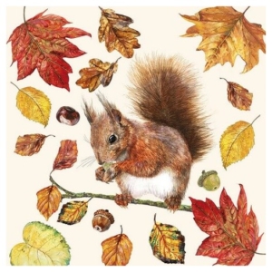 Χαρτοπετσέτα για Decoupage, Eating Squirrel, 1 τεμ. 13310975