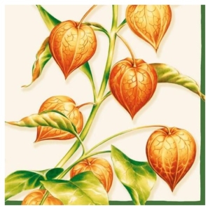 Χαρτοπετσέτα για Decoupage, Lampiona Cream, 1 τεμ. 13306210