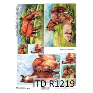 Ριζόχαρτο ITD Collection, 21x29cm, R1219