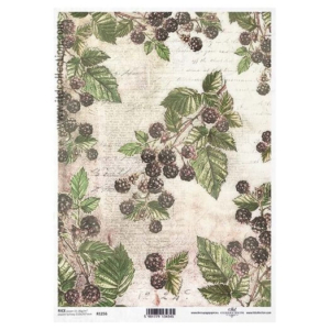 Ριζόχαρτο ITD Collection, 21x29cm, R1256