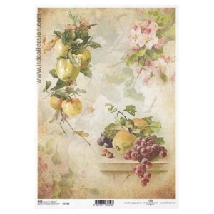 Ριζόχαρτο ITD Collection, 21x29cm, R1261