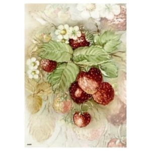 Ριζόχαρτo MONDO για Ντεκουπάζ 30x40cm, A466R