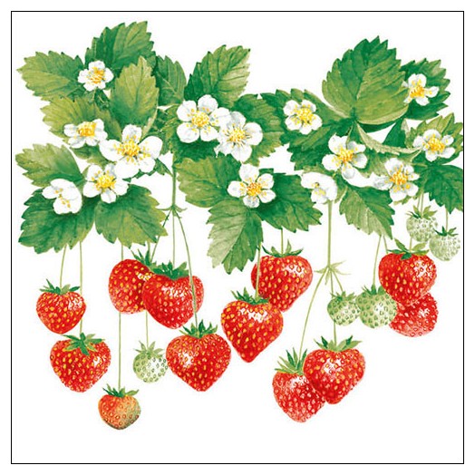 Χαρτοπετσέτα για Decoupage, Summer Fruits, 1 τεμ. 13308205 1 Χαρτοπετσέτα για Decoupage, Summer Fruits, 1 τεμ. 13308205