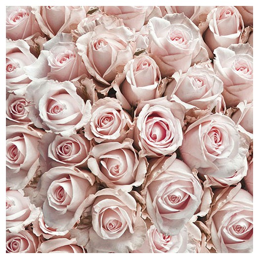 Χαρτοπετσέτα για Decoupage, Pastel Roses, 1 τεμ. 13311450 1 Χαρτοπετσέτα για Decoupage, Pastel Roses, 1 τεμ. 13311450