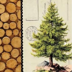 Χαρτοπετσέτα για Decoupage Χριστουγεννιάτικη, Pine Tree, 1τεμ. 33312115