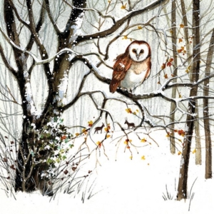 Χαρτοπετσέτα για Decoupage, Winter Owl, 1τεμ. 33310700