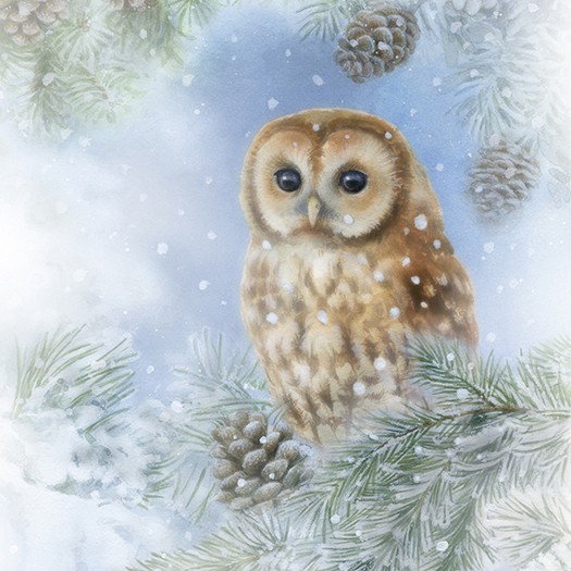 Χαρτοπετσέτα για Decoupage, Tawny Owl, 1τεμ. 33312075 1 Χαρτοπετσέτα για Decoupage, Tawny Owl, 1τεμ. 33312075