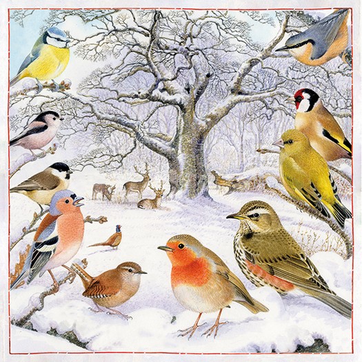 Χαρτοπετσέτα για Decoupage, Bird Meeting, 1 τεμ. 33313875 1 Χαρτοπετσέτα για Decoupage, Bird Meeting, 1 τεμ. 33313875
