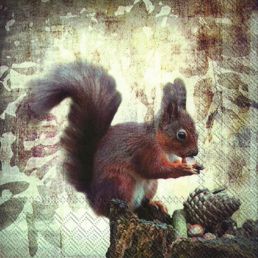 Χαρτοπετσέτα για decoupage, Squirrel’s lunch, 1 τεμ. L825600 1 Χαρτοπετσέτα για decoupage, Squirrel’s lunch, 1 τεμ. L825600