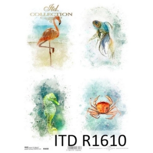 Ριζόχαρτο ITD, 21x29cm R1610