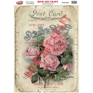 Ριζόχαρτο Rich, 29,5×41,5cm, RI8000