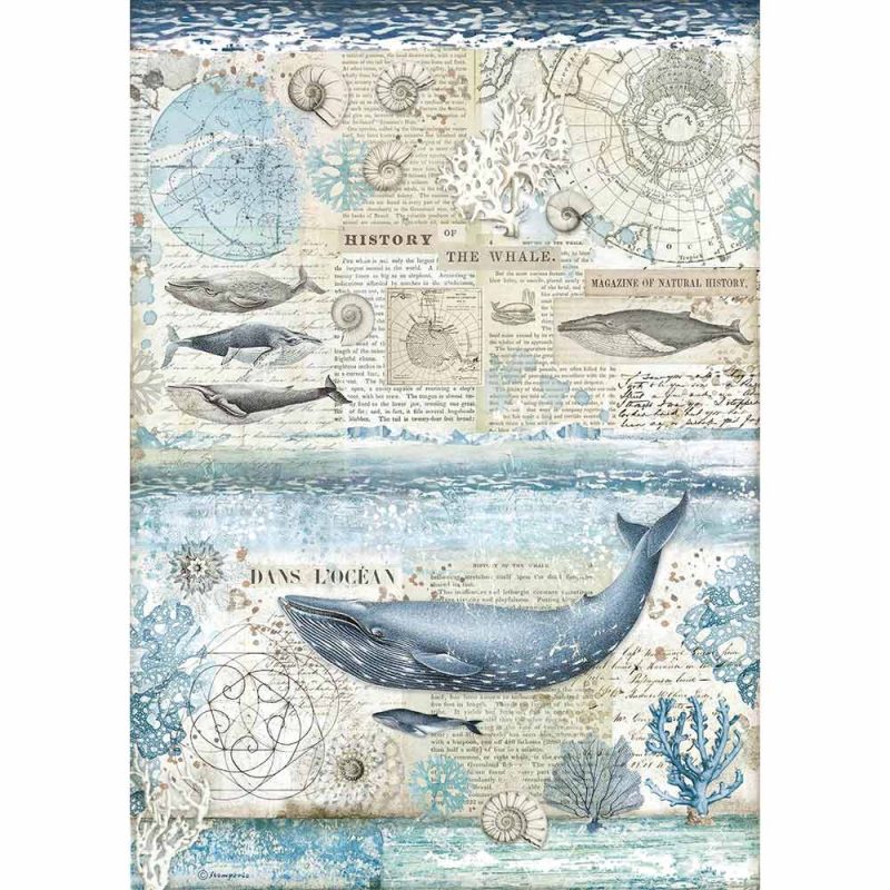 Ριζόχαρτο Stamperia 29,7x42cm A3, History of the whale DFSA3077 1 Ριζόχαρτο Stamperia 29,7x42cm A3, History of the whale DFSA3077