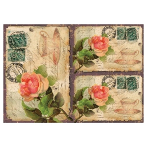 Ριζόχαρτο Digital 35Χ50cm, DG_123