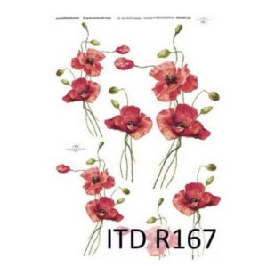 Ριζόχαρτο ITD, 21x29cm R167