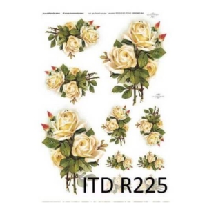 Ριζόχαρτο ITD, 21x29cm R225