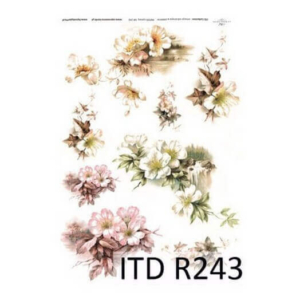 Ριζόχαρτο ITD, 21x29cm R243