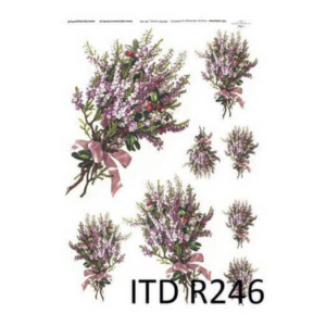 Ριζόχαρτο ITD, 21x29cm R246