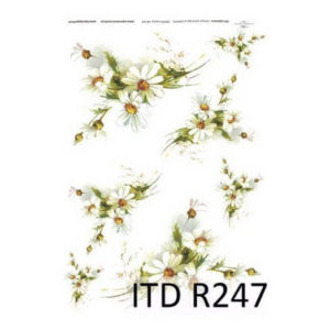 Ριζόχαρτο ITD, 21x29cm R247