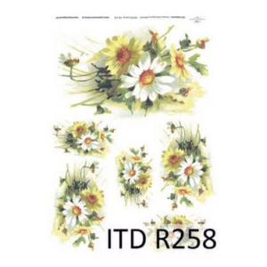 Ριζόχαρτο ITD, 21x29cm R258