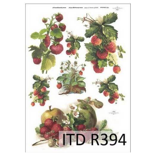 Ριζόχαρτο ITD, 21x29cm R394 1 Ριζόχαρτο ITD, 21x29cm R394
