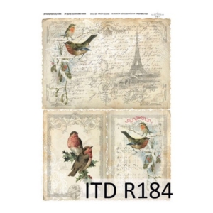 Ριζόχαρτο ITD, 21x29cm R184