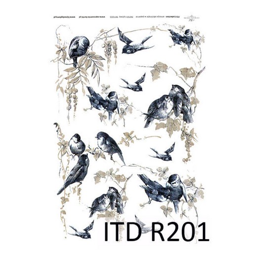 Ριζόχαρτο ITD, 21x29cm R201 1 Ριζόχαρτο ITD, 21x29cm R201