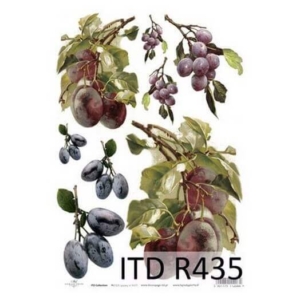 Ριζόχαρτο ITD, 21x29cm R435