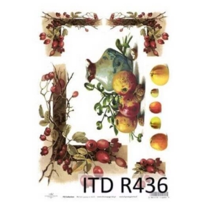 Ριζόχαρτο ITD, 21x29cm R436