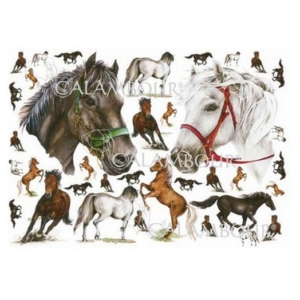 Χαρτί Calambour 50x70cm, Easy 076