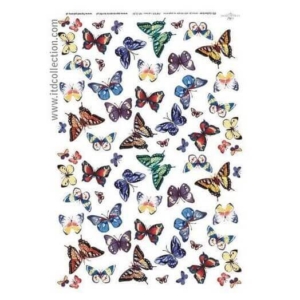 Ριζόχαρτο ITD, 21x29cm R130